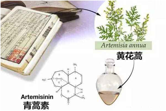 乐鱼体育中国有限公司官网,：向中医药看齐，与世界共享中医药文化(图1)